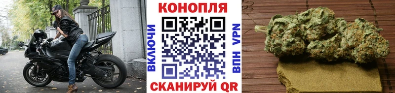 Конопля AK-47  Севск 